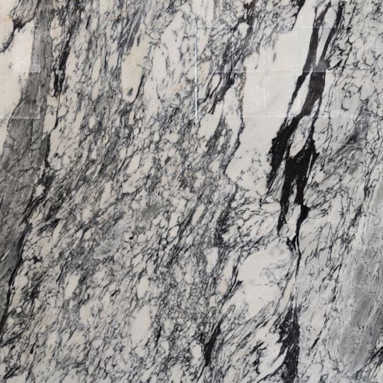 Behsang_viola_Marble-1